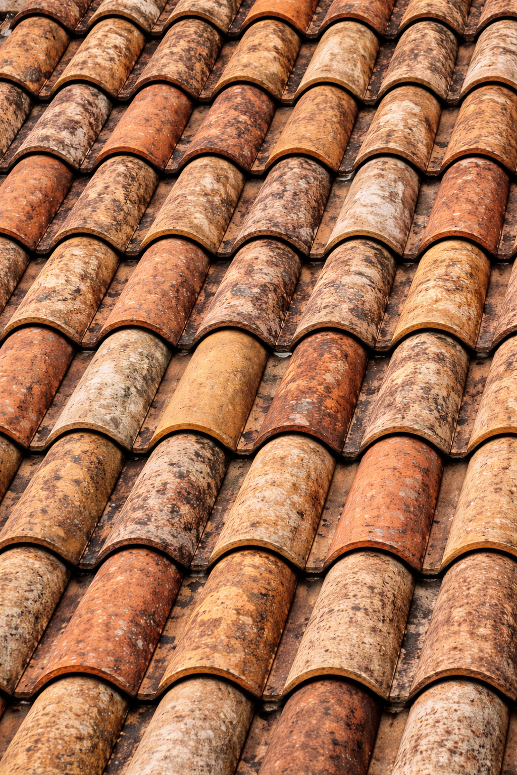 Terra cotta roof tiles